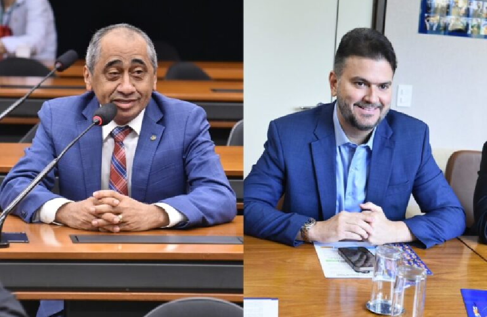 CÂMARA Programa de incentivo ao óleo de dendê avança