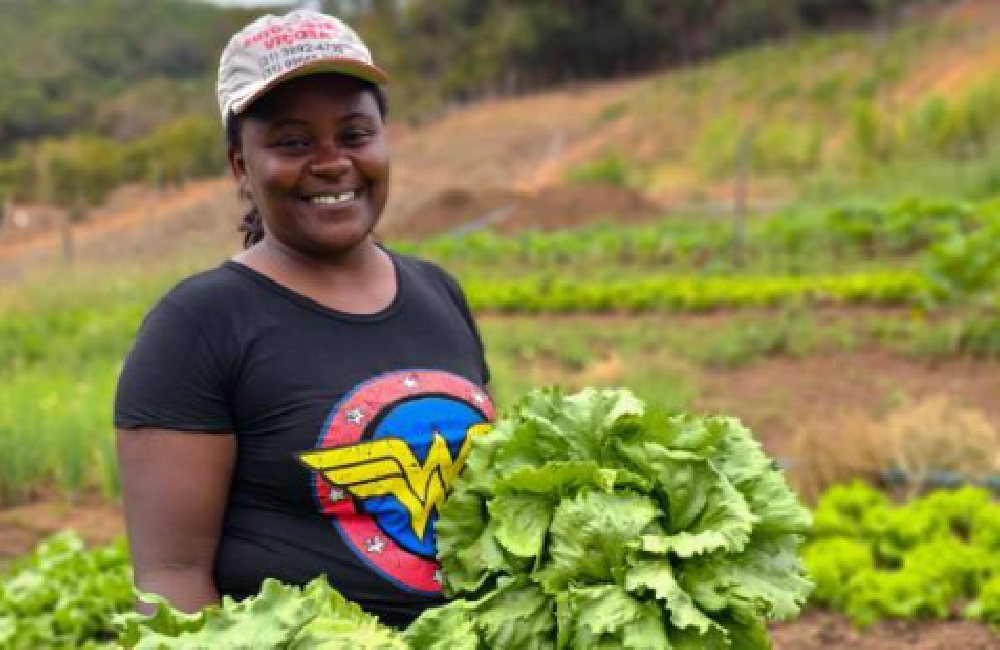 Comissão da Câmara aprova projeto que prioriza mulheres chefes de família no acesso ao crédito rural