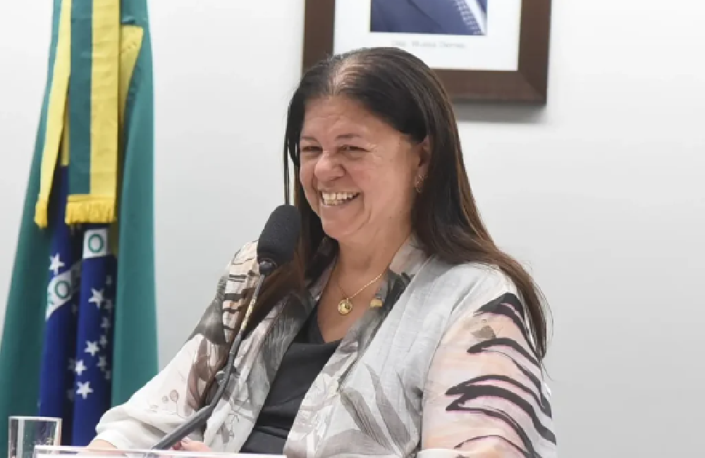 Laura Carneiro lidera aprovação de projetos na Câmara dos Deputados em 2026