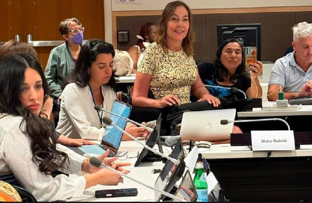 Mara Gabrilli representa o Brasil na ONU e defende fortalecimento dos direitos das pessoas com deficiência