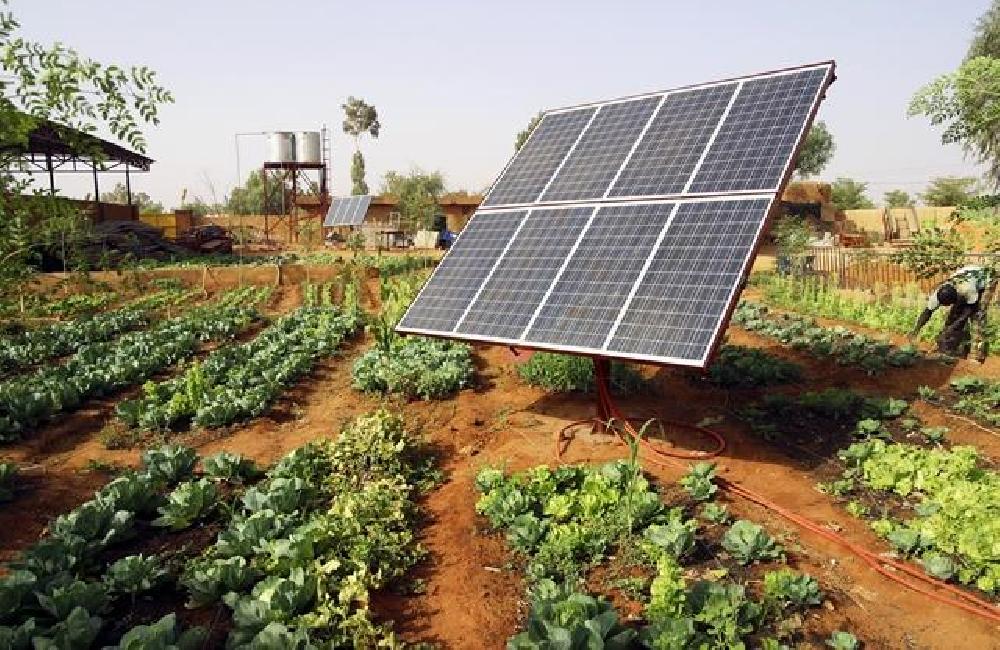 SUSTENTABILIDADE: Câmara Federal Aprova Projeto que Incentiva Energia Solar para Agricultores Familiares e Famílias de Baixa Renda
